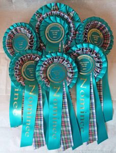 Area 1 Club Volunteer of the Year