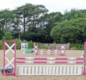 Show Jumping Training for New or Inexperienced Riders